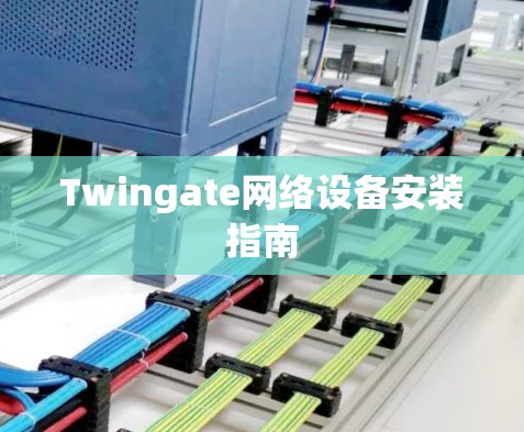 Twingate网络设备安装指南