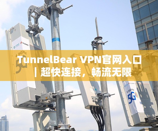 TunnelBear VPN官网入口｜超快连接，畅流无限
