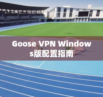 Goose VPN Windows版配置指南 Goose VPN Windows版配置指南