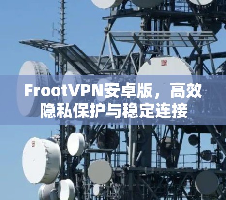 FrootVPN安卓版,高效隐私保护与稳定连接 FrootVPN安卓版,高效隐私保护与稳定连接