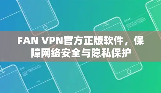 FAN VPN官方正版软件，保障网络安全与隐私保护