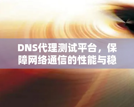 DNS代理测试平台,保障网络通信的性能与稳定性 DNS代理测试平台,保障网络通信的性能与稳定性