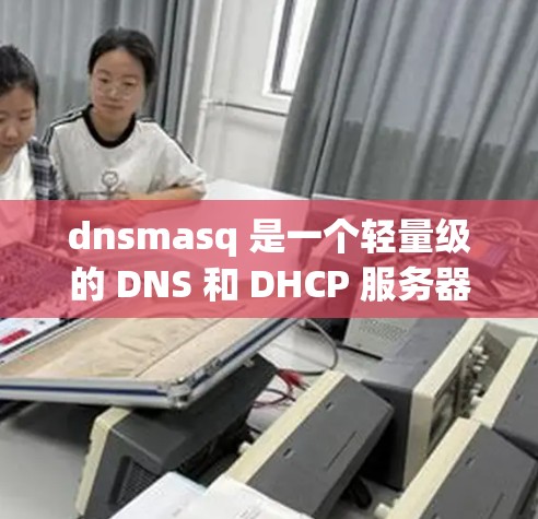 dnsmasq 是一个轻量级的 DNS 和 DHCP 服务器,常用于小型网络或开发环境。以下是安装和配置 dnsmasq 的步骤 dnsmasq 是一个轻量级的 DNS 和 DHCP 服务器,常用于小型网络或开发环境。以下是安装和配置 dnsmasq 的步骤