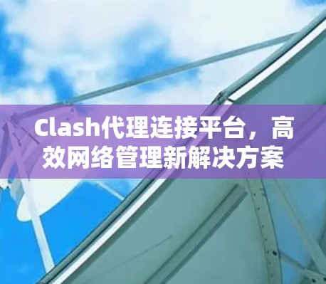 Clash代理连接平台,高效网络管理新解决方案 Clash代理连接平台,高效网络管理新解决方案