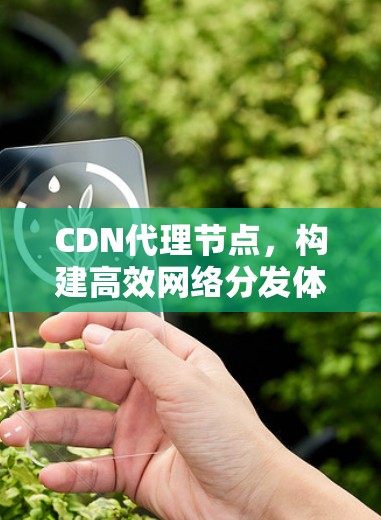 CDN代理节点，构建高效网络分发体系