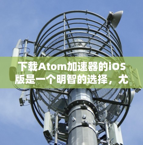 下载Atom加速器的iOS版是一个明智的选择，尤其是如果你经常需要处理多种任务并希望提高设备的性能。以下是对Atom加速器iOS版的详细分析，帮助你做出明智的决定