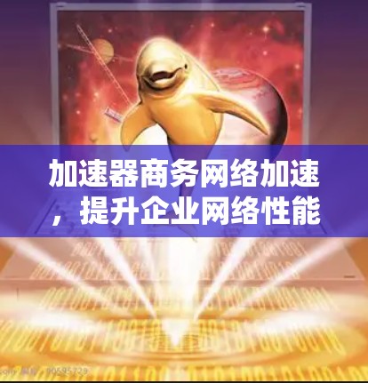 加速器商务网络加速，提升企业网络性能的关键技术