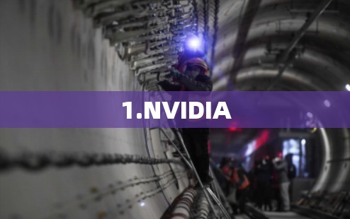 1.NVIDIA 1.NVIDIA