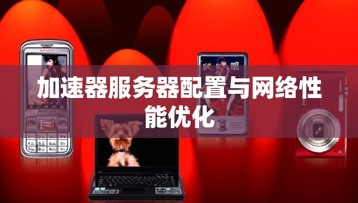 加速器服务器配置与网络性能优化 加速器服务器配置与网络性能优化