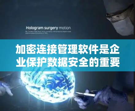 加密连接管理软件是企业保护数据安全的重要工具，帮助组织建立和监控安全连接，防止数据泄露和未经授权的访问。以下是对这些软件的详细分析和总结